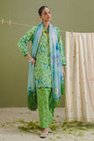 Zara Shahjahan Kael-7B Online Shopping