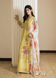 Noor Lepoque Hussain Rehar Brand Original Fabrics