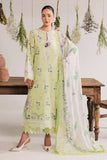 DD-34 Nureh Brand Original Fabrics