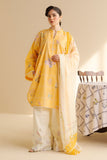 Zara Shahjahan Luna-10B Online Shopping