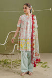 Zara Shahjahan Elvo-4B Online Shopping