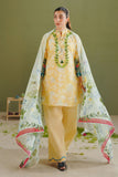 Zara Shahjahan Ayla-8A Online Shopping