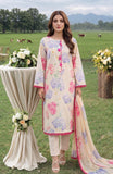 Al Zohaib CDC-26-02 Online Shopping