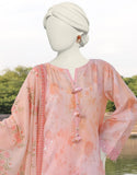 Junaid Jamshaid Multicolor 3PC | JLAWN-S-24-499 Online Shopping
