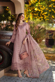 Saadia Asad D4 - B - Dusky Rose Online Shopping