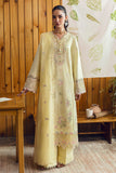 Qalamkar DC-04 Keva Online Shopping