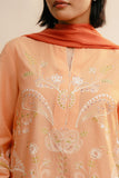 Zara Shahjahan CR25P0533 Online Shopping