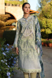 SP-195 Nureh Brand Original Fabrics