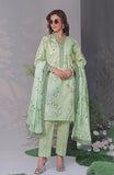 Alzohaib CC-3-25-03 Online Shopping