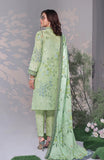 Alzohaib CC-3-25-03 Online Shopping