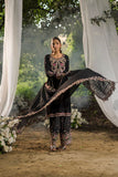 SS25DU-3211 L-GREEN  Dhanak Brand Original Fabrics