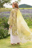 Baroque UF-4229 Online Shopping
