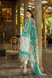Roheenaz Zafira Online Shopping