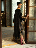 zainab chottani Nuit Elegance