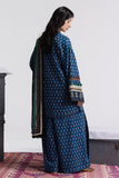 coco by zara shahjahan Anika-3A