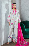 Alzohaib CC-25-04 Online Shopping