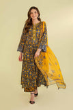 Nishat Linen 2 Piece - Printed Embroidered Suit - 42401300 Online Shopping
