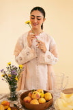 Qalamkar SQ-07 Carmin Online Shopping