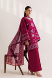 Avelis Panache Apparels Brand Original Fabrics