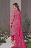 Alzohaib CC-3-25-05 Online Shopping