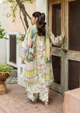 Elaf Premium ECD-5A Gladiolus Grace Online Shopping