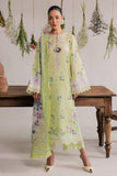 DD-34 Nureh Brand Original Fabrics
