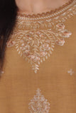 noor by saadia asad D10 A - Autumn Saffron