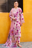 Farasha Online Blooming Blush Online Shopping
