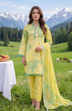 Al Zohaib CDC-26-07 Online Shopping