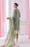 Alzohaib CDP-6-25-07 Online Shopping