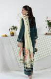 CC-2-26-07 Alzohaib Brand Original Fabrics