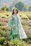 Golden Spring Farasha Brand Original Fabrics