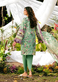 Elaf Premium EPS-8A Minted Dream Online Shopping