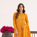 Nur Fashion Zenith M - 204 Online Shopping