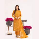 Nur Fashion Zenith M - 204 Online Shopping