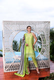 Saadia Asad D8-B Online Shopping