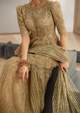 kanwal malik Ayna