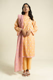 Br45 2p26 Grey Al Karam Brand Original Fabrics