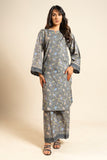Br53 2p26 Grey Al Karam Brand Original Fabrics