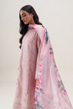 Beechtree Blush Tint Online Shopping