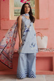 Zara Shahjahan Blueberry-D4 Online Shopping