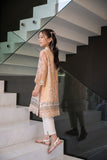 Dhanak SS24DK-0174 Peach 2pcs Online Shopping