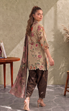 Mocca (CU26-04) Asifa N Nabeel Brand Original Fabrics