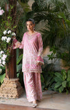 Dhanak SS25DA-2756 Pink  Online Shopping