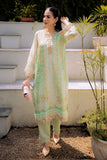 FW25DA-2859 Green  Dhanak Brand Original Fabrics