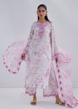 SS25DC-2557 PINK  Dhanak Brand Original Fabrics