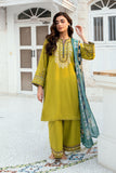 SS25DC-2583 Olive Green  Dhanak Brand Original Fabrics