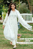SS25DC-2584 Off White  Dhanak Brand Original Fabrics