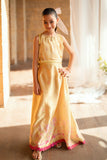 SS26DA-2892 YELLOW Dhanak Brand Original Fabrics