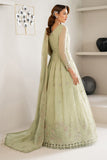 Alizeh AF-CH-2189-Zenel Online Shopping